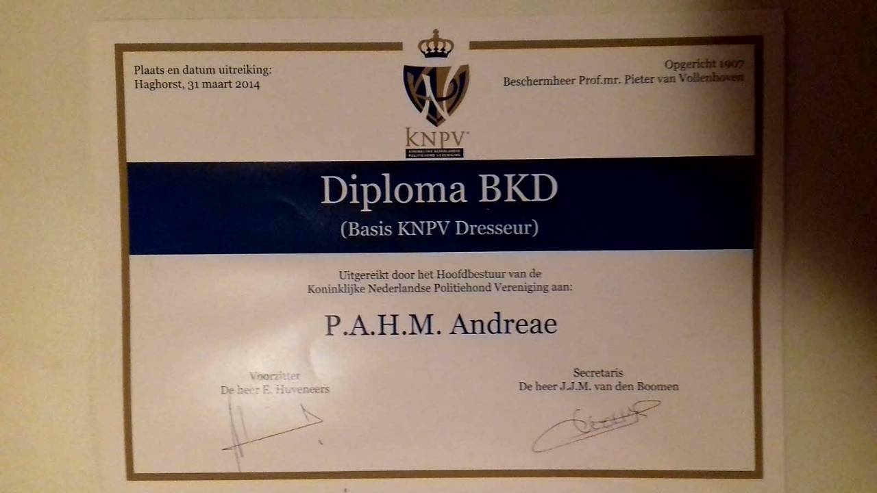 Protection dogs diploma